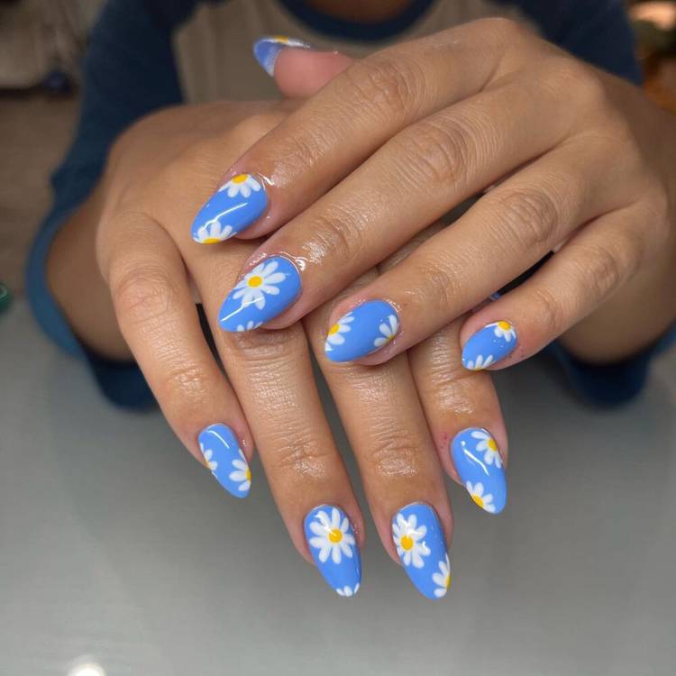 Field of Daisies