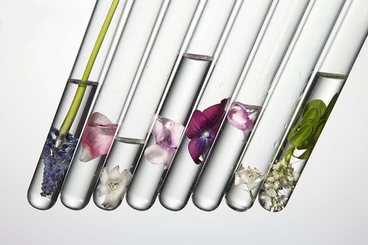 LookYoungerNow MainImage