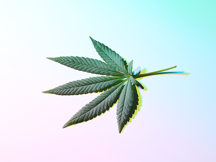 cbdquestions