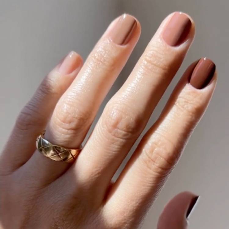 Chocolate Ombré