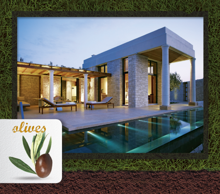 Mediterranean Indulgence