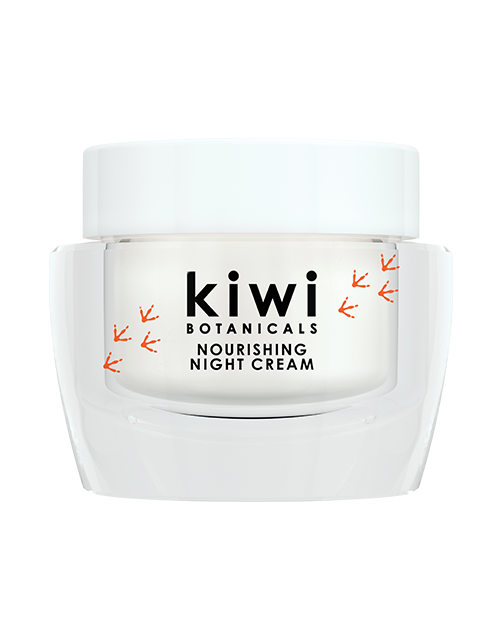 THE NIGHT CREAM