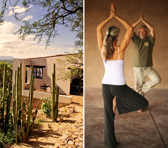 For the Seasoned: Emotional Release Through Acupuncture