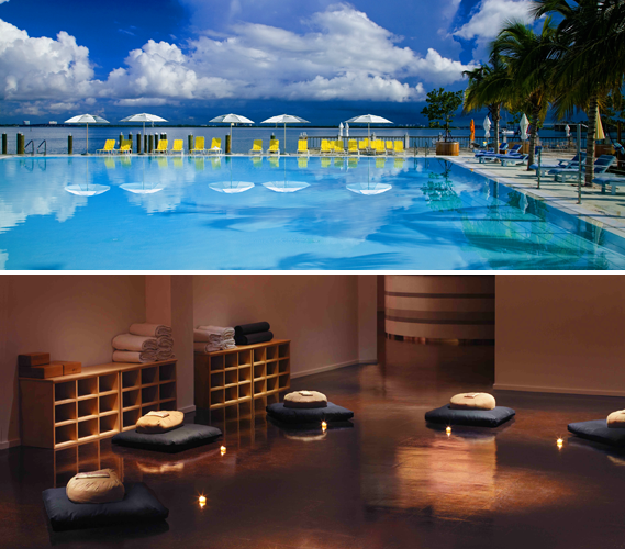 For the Seasoned: South Beach Solace