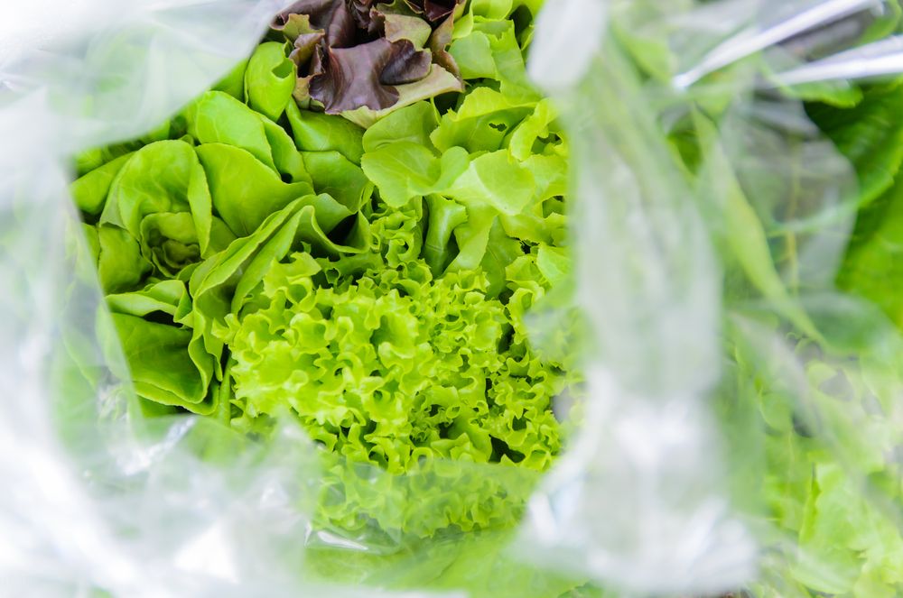 Shutterstock 156869681