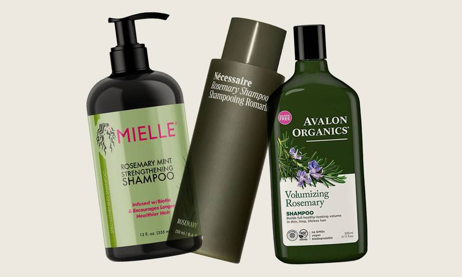 rosemary shampoo