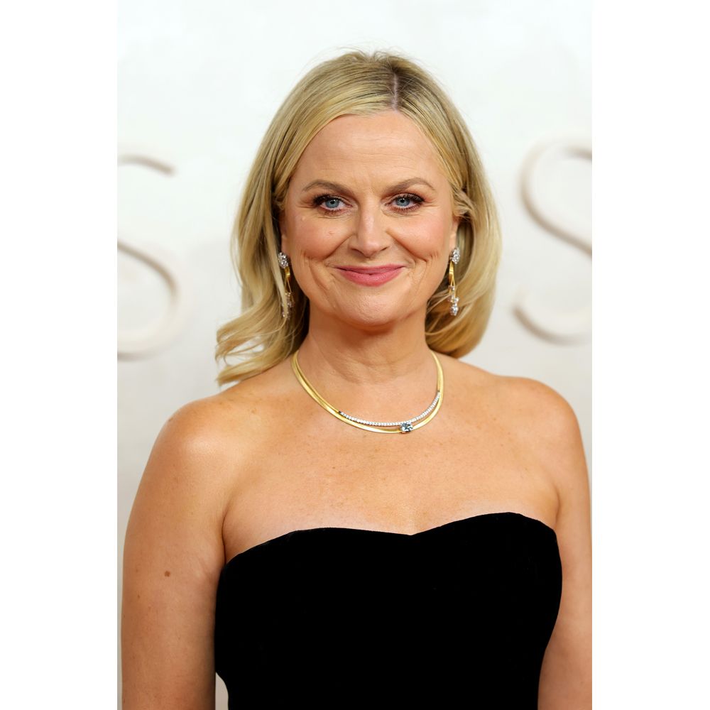 Amy Poehler