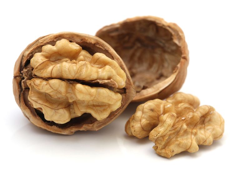 Walnut