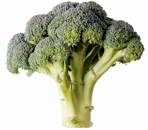 Broccoli
