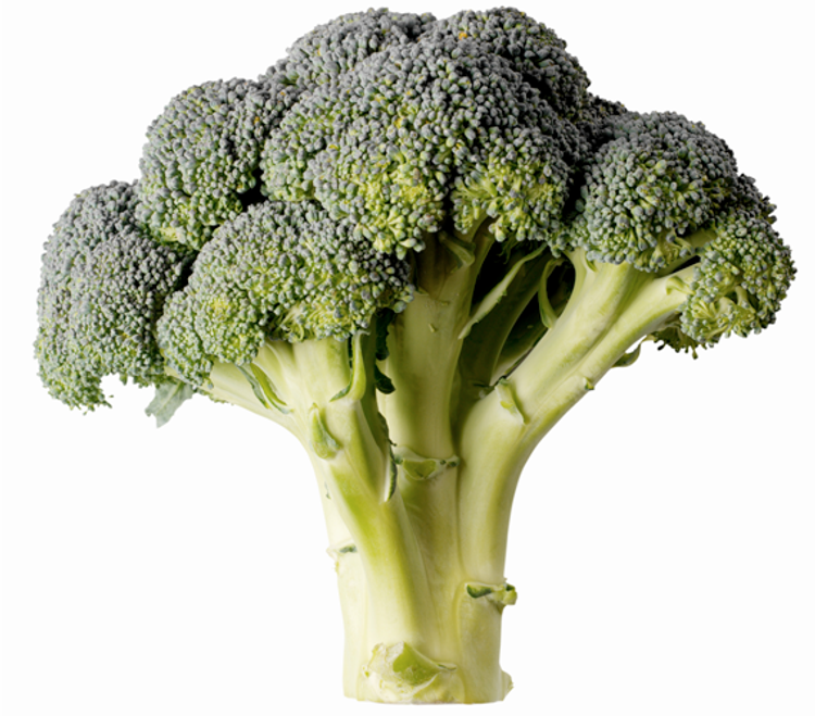 Broccoli