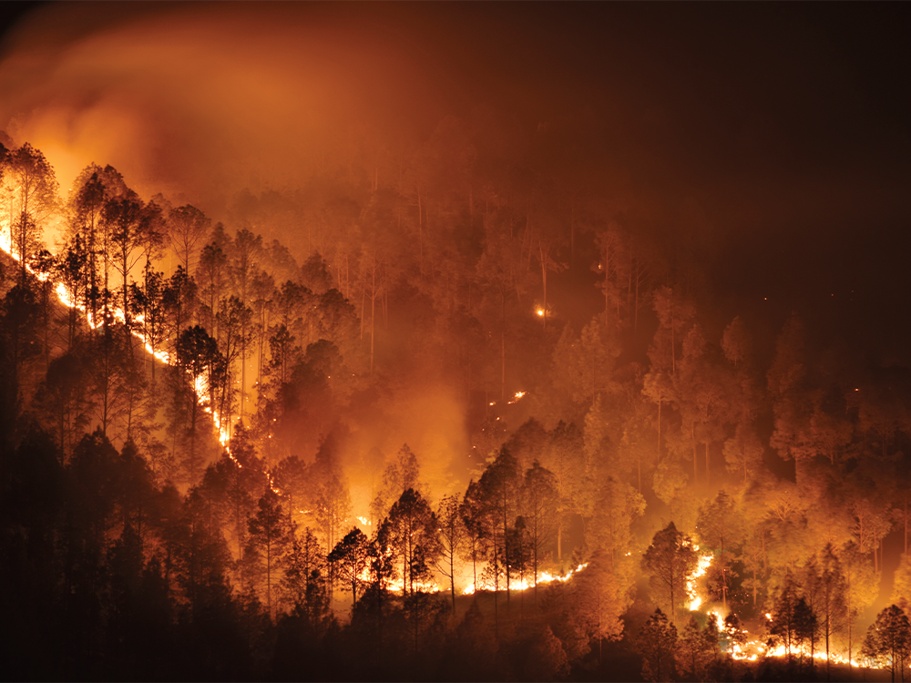 The Connection Between Climate and Skin Health