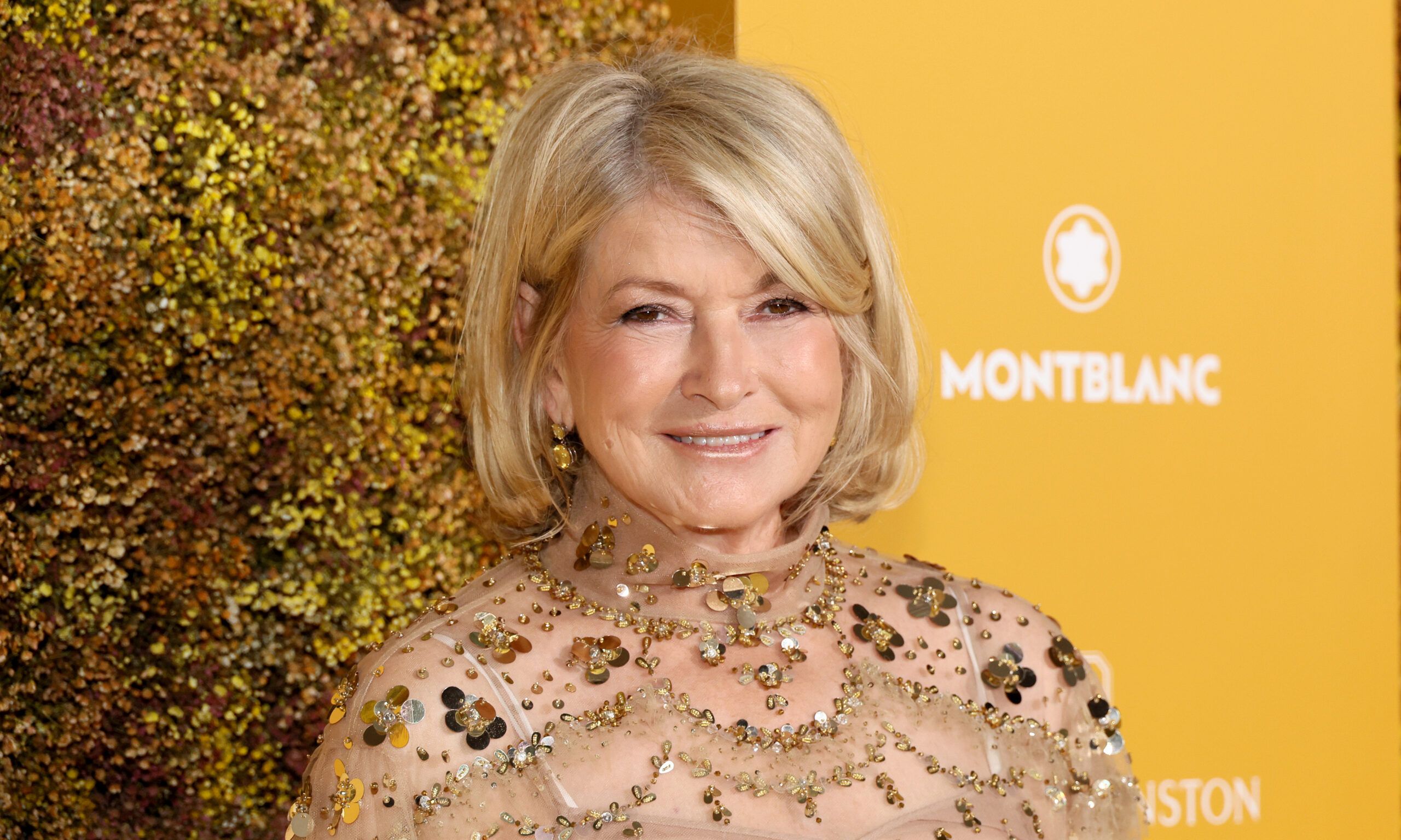 martha stewart alastin skin tint spf