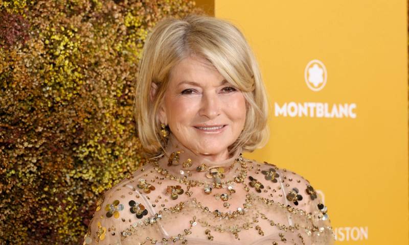 martha stewart alastin skin tint spf