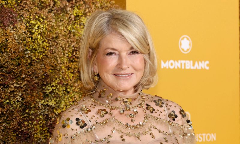 martha stewart alastin skin tint spf