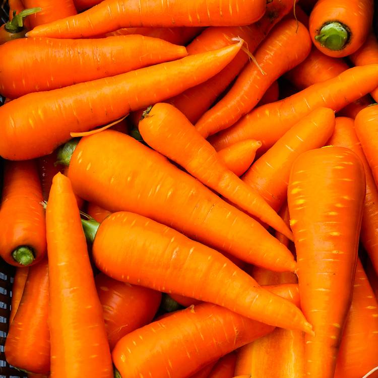 Orange Vegetables
