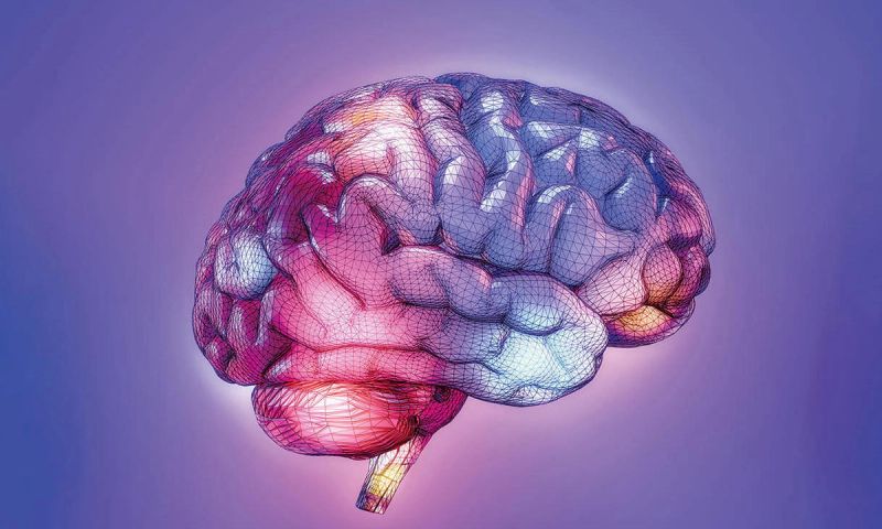 illustration of the brain in purples, pinks and blues