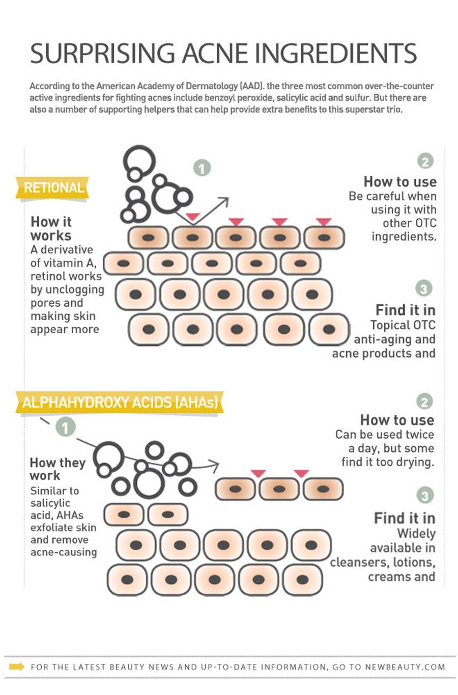 Infographic 3