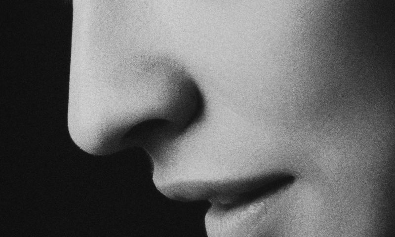 rhinoplasty journeys