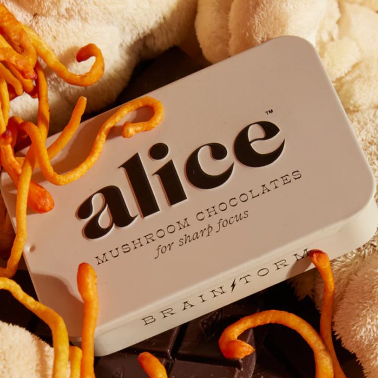Alice Brainstorm ($30)