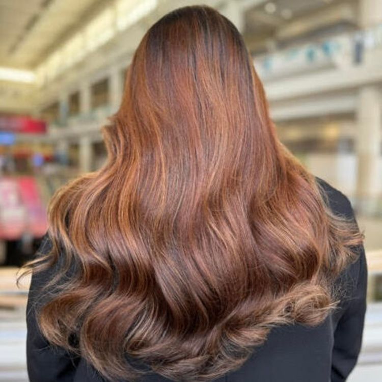 Mahogany Copper