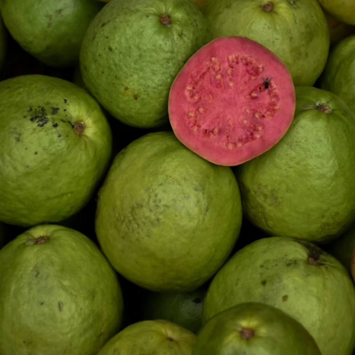 Guava Unsplash by Yuliia Martsynkevych