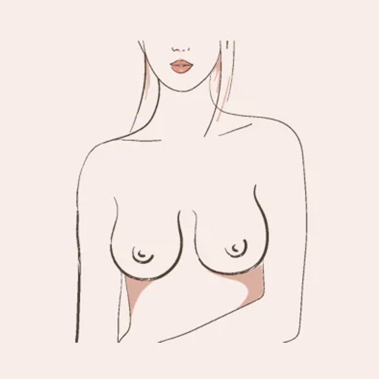bell shaped breasts