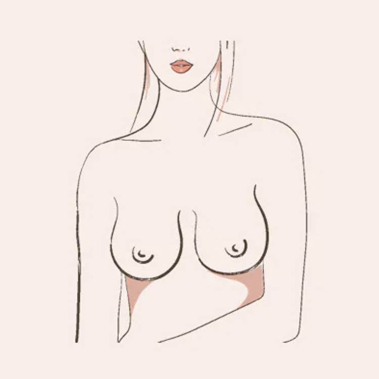 bell shaped breasts