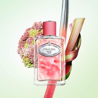 prade-infusion-de-rhubarbe