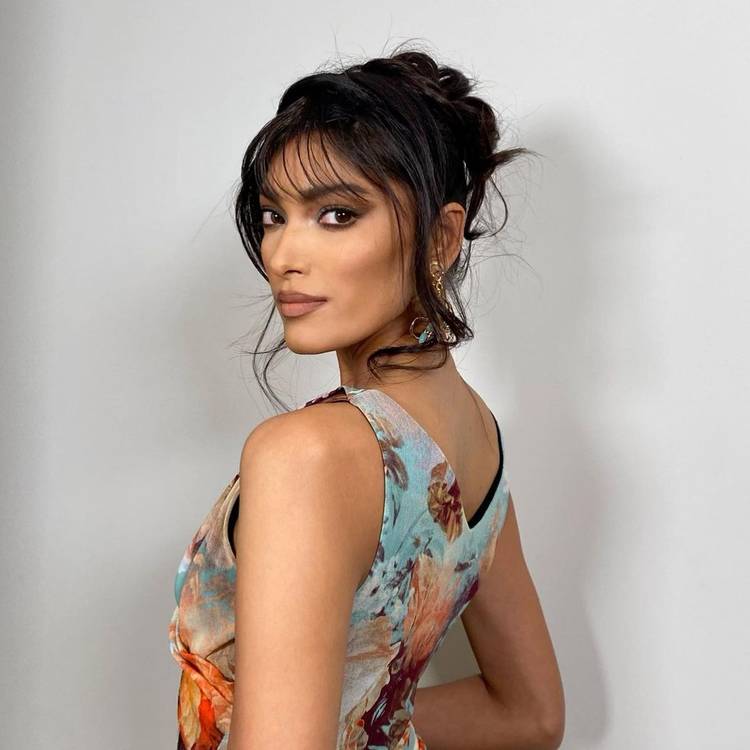 Wispy updo