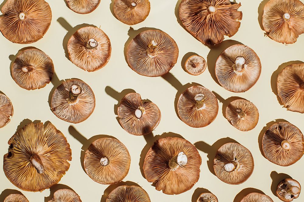 Pattern of fresh mushrooms on beige background. Flat lay, top view