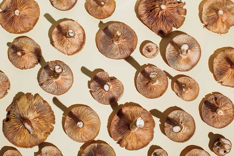 Pattern of fresh mushrooms on beige background. Flat lay, top view