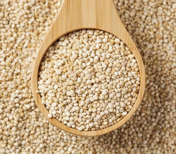 Quinoa