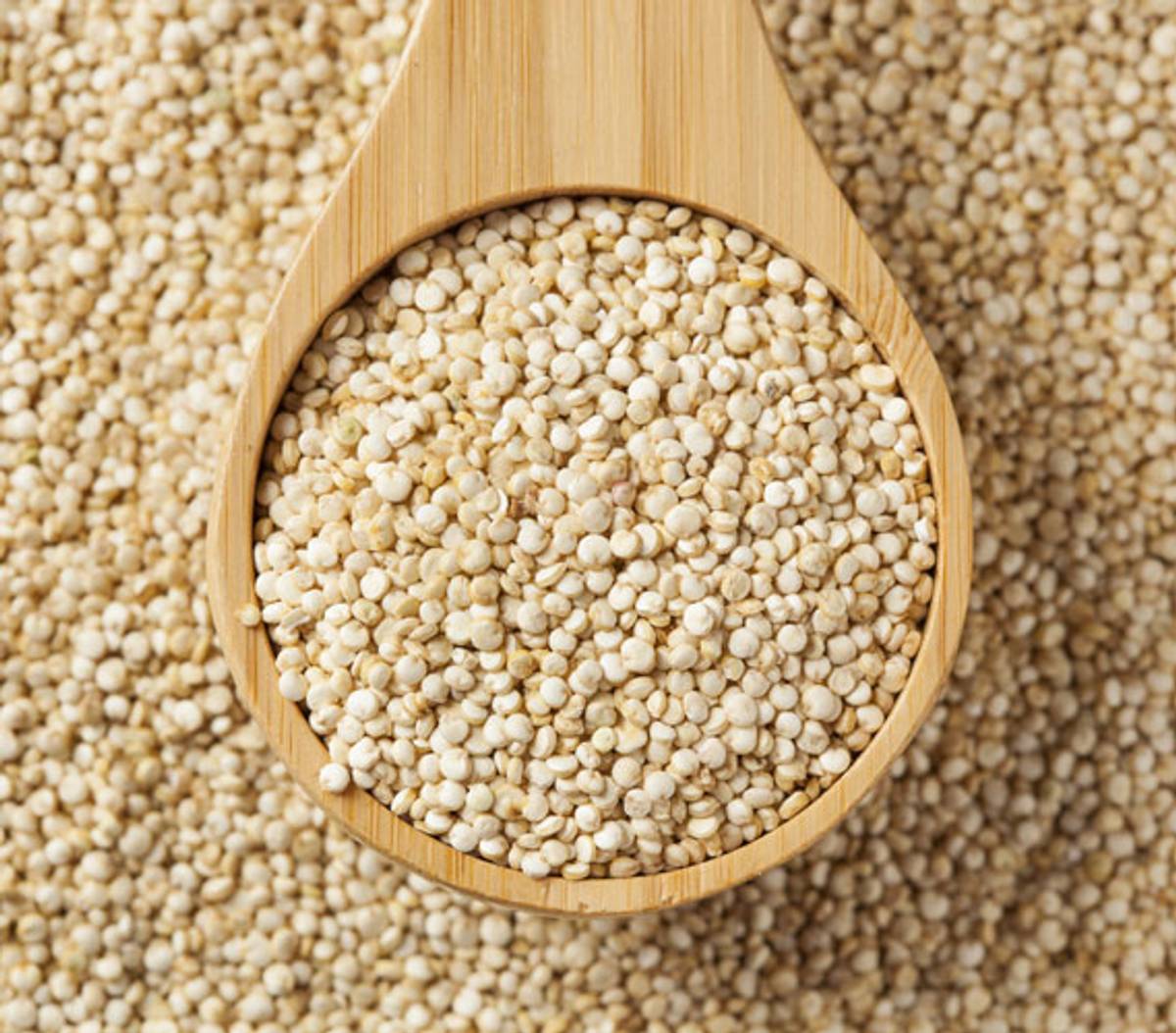 Quinoa