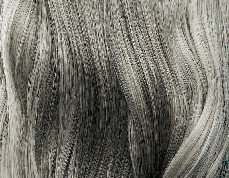 greyhairtrend