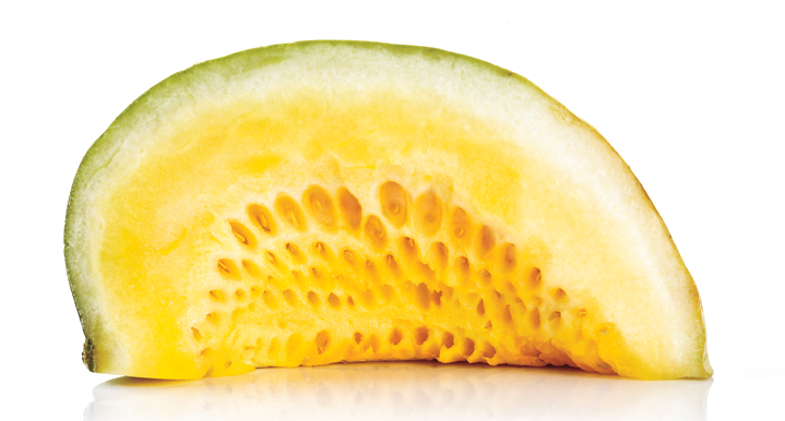 Fruit Firmers 9.12 Hs 