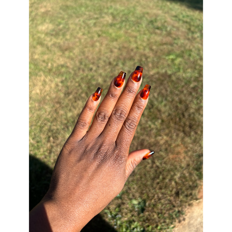 Tortoiseshell