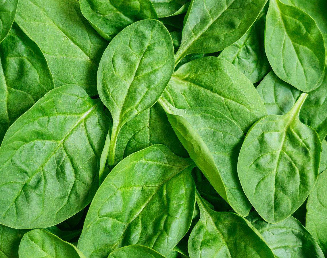 Spinach
