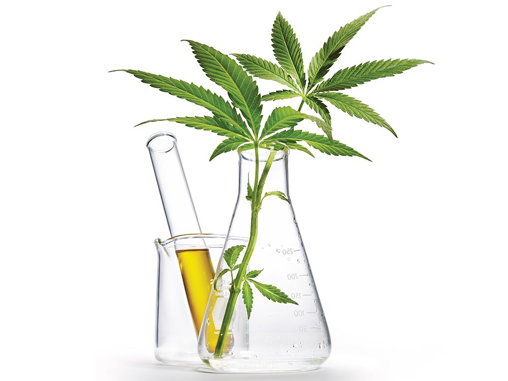 CBD and Medical Marijuana