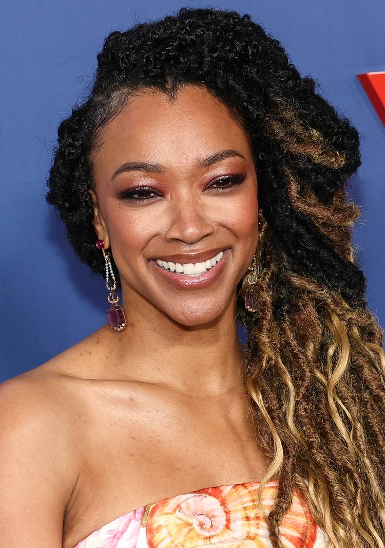 ombre butterfly locs