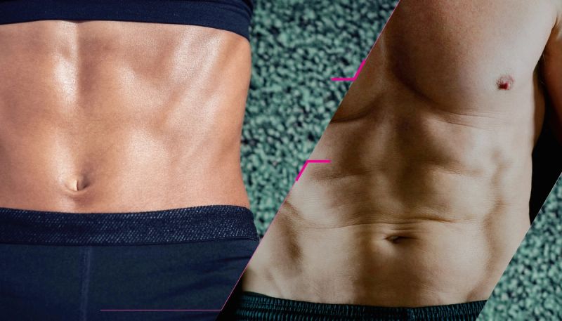 Why Men and Women Gain and Lose Belly Fat Differently