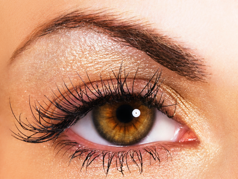 brow Main Newbeauty
