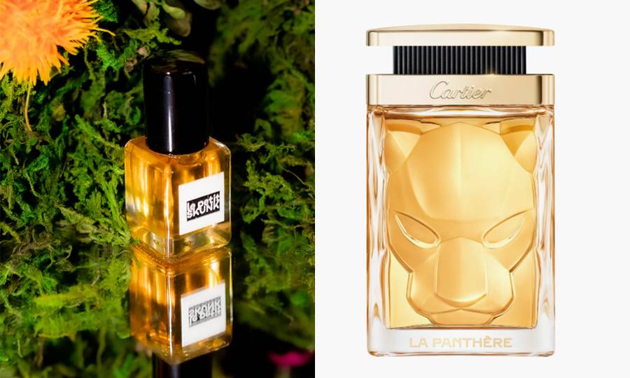 animalistic fragrances