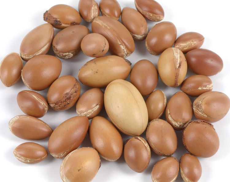 Argan Oil