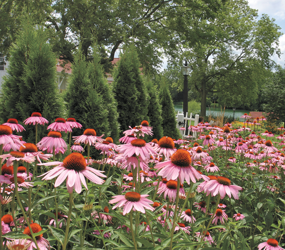 Heartland Spa Weight Loss &amp; Fitness Resort: Chicago, Illinois