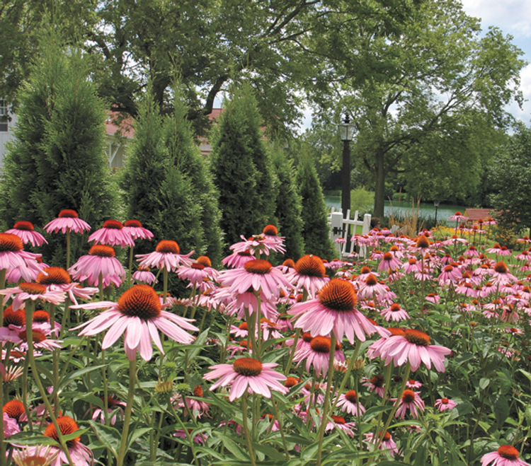 Heartland Spa Weight Loss & Fitness Resort: Chicago, Illinois