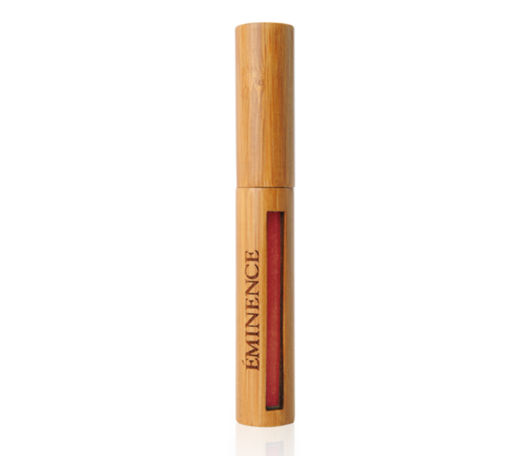 For the Lips: The Lip Gloss