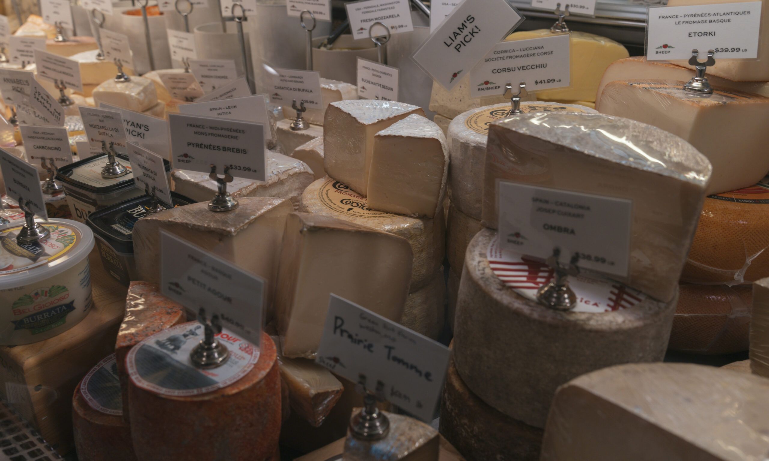 cheese on display in cheese shop
