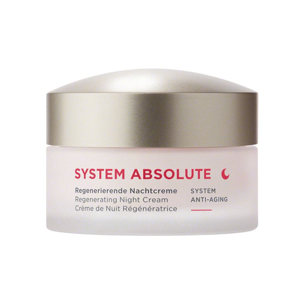 ANNEMARIE BÖRLIND System Absolute Regenerating Night Cream ($120)