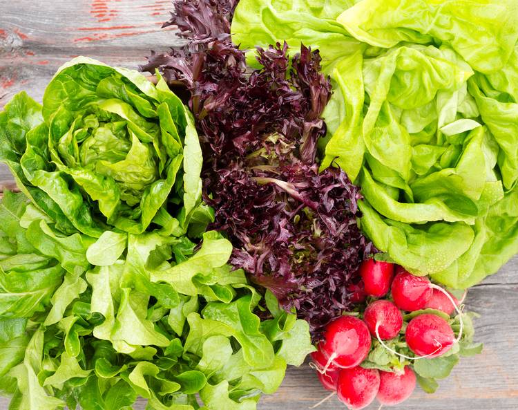 Folic Acid