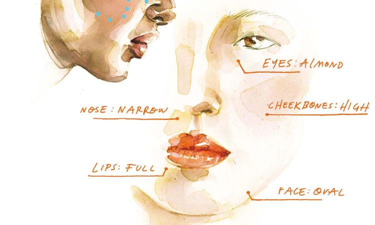 illustration of face anatomy